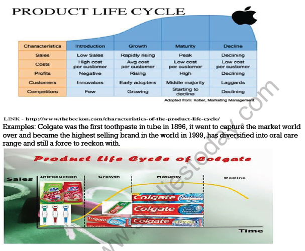 CBSE Class 12 Marketing Managing Product Life Cycle Notes